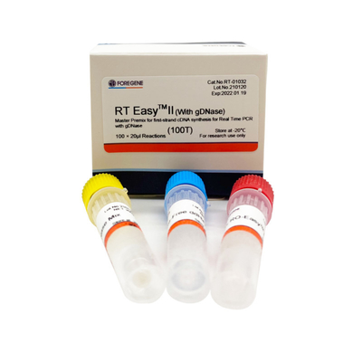 RT EasyTM II con gli iniettori inversi della trascrizione per usare premiscela matrice per la sintesi del Primo filo CDNA/PCR in tempo reale
