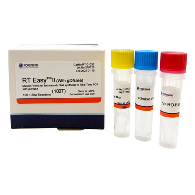 RT EasyTM II con gli iniettori inversi della trascrizione per usare premiscela matrice per la sintesi del Primo filo CDNA/PCR in tempo reale
