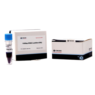 Punto di ebollizione 50 - 15 indicatori e scale del DNA di KB per elettroforesi del gel di agarosio