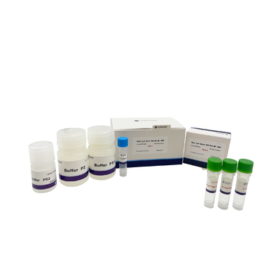 PCR diretta della foglia della pianta più la foglia della pianta dell'amplificatore di lisi della DNA polimerasi del corredo di PCR del corredo UNG per le piante transgeniche