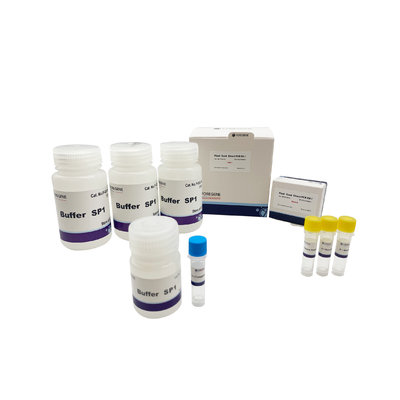 Amplificatore di carico diretto di PCR Kit Lysis Buffer Ce Iso del corredo I/II di PCR del seme della pianta per le piante transgeniche