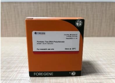 DNA polimerasi HotStar Taq di Foreasy Taq per i corredi di PCR degli enzimi del taq di PCR/qPCR per DNA che ordina PCR convenzionale