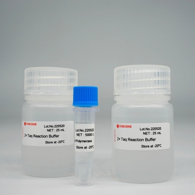 Polimerasi Kit For PCR/QPCR di HotStar Taq della DNA polimerasi di Foreasy Taq