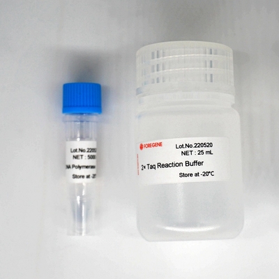 Polimerasi Kit For PCR/QPCR di HotStar Taq della DNA polimerasi di Foreasy Taq