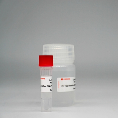 Miscela eccellente degli enzimi di HotStar Taq della DNA polimerasi di Foreasy HS Taq per PCR/QPCR