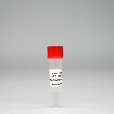 Miscela eccellente degli enzimi di HotStar Taq della DNA polimerasi di Foreasy HS Taq per PCR/QPCR
