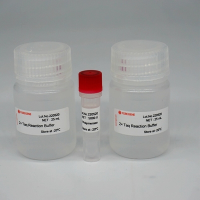 Miscela eccellente degli enzimi di HotStar Taq della DNA polimerasi di Foreasy HS Taq per PCR/QPCR