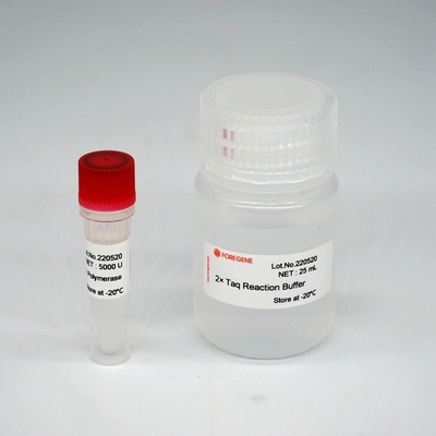 Miscela eccellente degli enzimi di HotStar Taq della DNA polimerasi di Foreasy HS Taq per PCR/QPCR