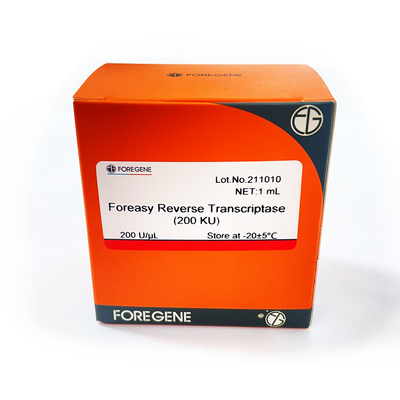 Nuova generazione di Foreasy di enzima Foreasy di RT della trascrittasi inversa di M-MLV