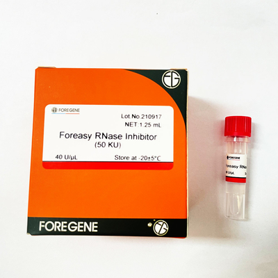 Inibitore della RNAsi di Foreasy di produzione della fabbrica della Cina IVD alto per protezione del RNA
