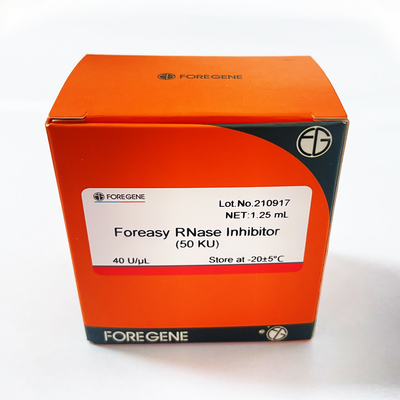 Inibitore della RNAsi di Foreasy di produzione della fabbrica della Cina IVD alto per protezione del RNA