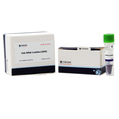 Indicatore 2000 del DNA 100 μL delle prove 500 che imballa 100bp-2000bp per elettroforesi