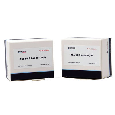 Indicatore 5000 del DNA di Foregene 400 μL delle prove 500x4 che imballa l'indicatore del DNA 100bp-5000bp