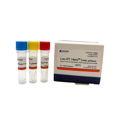 Premiscela eccellente di Lnc-RT HeroTM I (con il gDNase) per la sintesi del cDNA del primo filo da lncRNA Cat.No.RTL-09098/09099