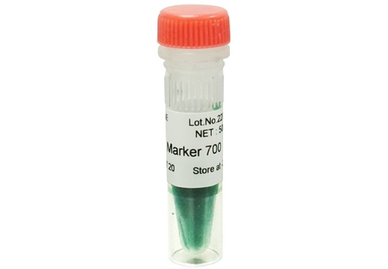 Scala 700bp del DNA del corredo di PCR del gel di agarosio dell'indicatore del DNA per le prove di biologia molecolare