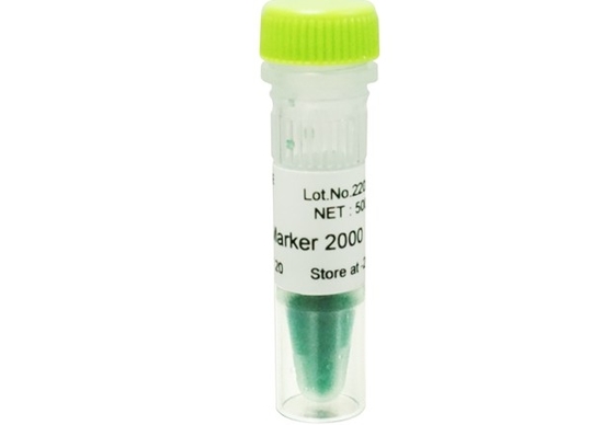 scala del DNA del corredo di PCR del gel di agarosio dell'indicatore del DNA 2000bp per ricerca