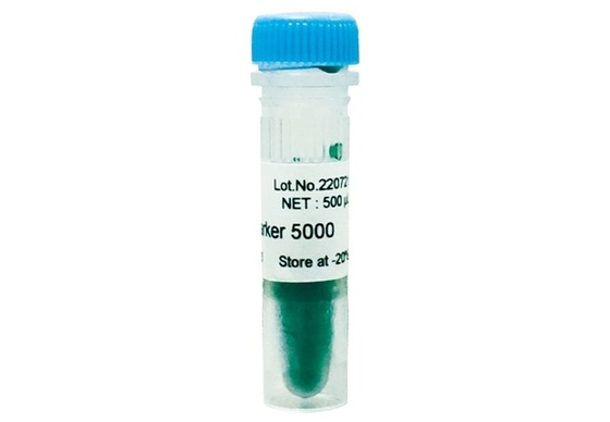 Scala 5000bp del DNA del corredo di PCR del gel di agarosio dell'indicatore del DNA per le prove di biologia molecolare di ricerca