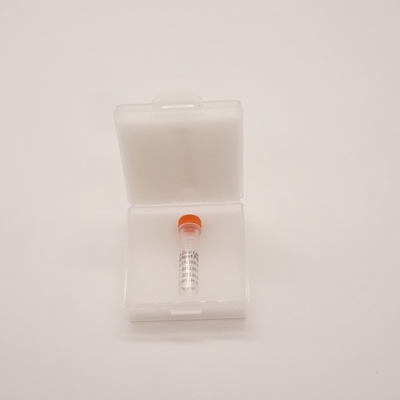 BCL6 Dual Colour Break Apart Sonda per il rilevamento di anomalie del gene BCL6 umano