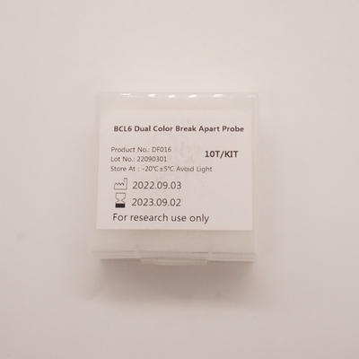 BCL6 Dual Colour Break Apart Sonda per il rilevamento di anomalie del gene BCL6 umano