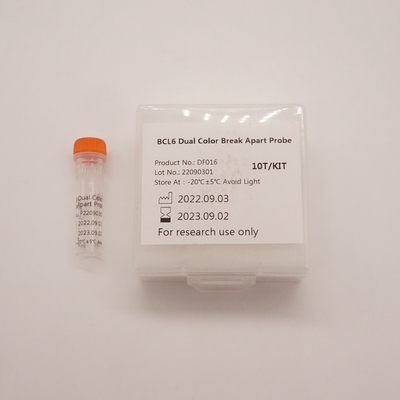 BCL6 Dual Colour Break Apart Sonda per il rilevamento di anomalie del gene BCL6 umano