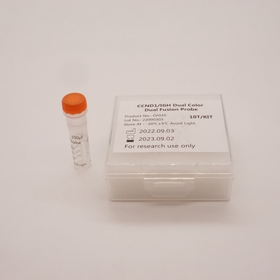 CCND1/IGH Dual Fusion Probe Kit per il rilevamento di anomalie del gene umano CCND1/IGH