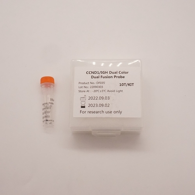 CCND1/IGH Dual Fusion Probe Kit per il rilevamento di anomalie del gene umano CCND1/IGH