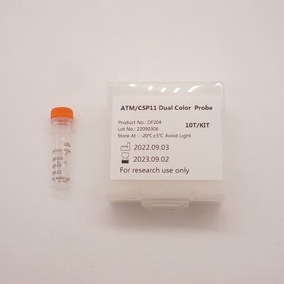 Sonda bicolore ATM/CSP11 per il rilevamento di anomalie del gene umano ATM(11q22)