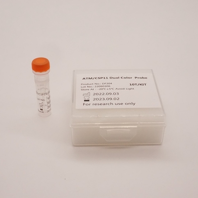 Sonda bicolore ATM/CSP11 per il rilevamento di anomalie del gene umano ATM(11q22)