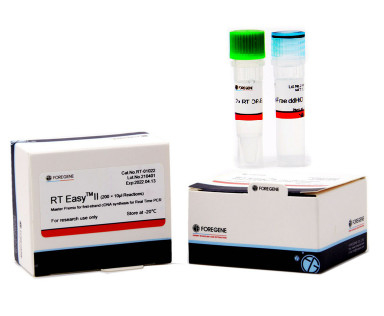Prima sintesi Kit High Sensitivity del filo CDNA del Transcriptor in tempo reale di PCR
