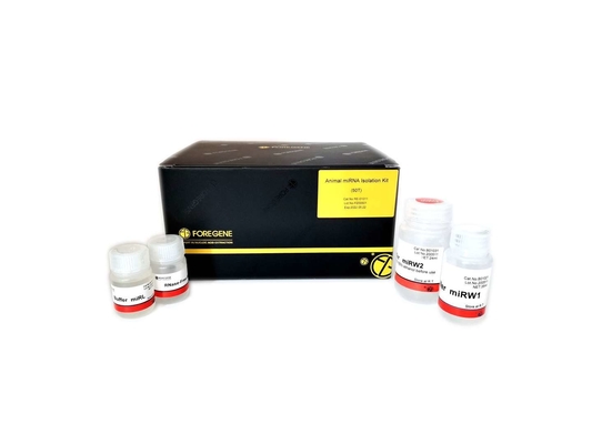 99,9% uso animale del laboratorio di biologia molecolare di MiRNA Isolation Kits RE-0101T