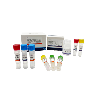 Attenui il CL che un corredo 200T 1000T di RT QPCR di punto la cellula di cultura RT-QPCR diretto