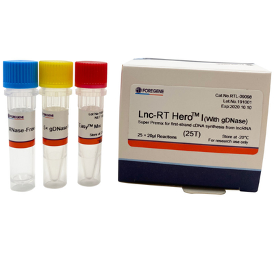 Corredo inverso 25×20ul Rxns della trascrizione della premiscela eccellente di Lnc-RT HeroTM I della dnasi