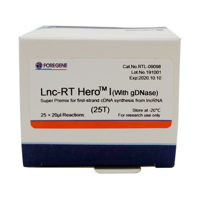 Corredo inverso 25×20ul Rxns della trascrizione della premiscela eccellente di Lnc-RT HeroTM I della dnasi