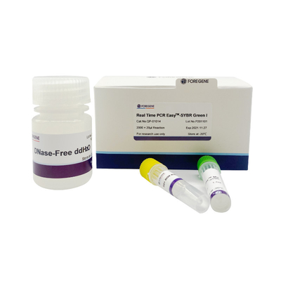 Corredo fluorescente di PCR di PCR EasyTM-SYBR di verde I del corredo di nuovo della premiscela verde in tempo reale del sistema SYBR