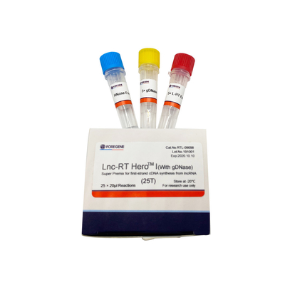 Lnc-RT HeroTM I (con il gDNase) (premiscela eccellente per la sintesi del cDNA del primo filo da lncRNA)