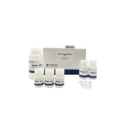 Mini estrazione del DNA di Kit Purification Column Plasmid di isolamento del DNA del plasmide generale