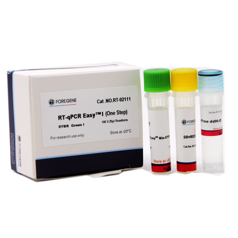 Il punto SYBR di RT-QPCR EasyTM la I una se mi inverdisce completa la rilevazione quantitativa dei geni per il RT e la PCR in tempo reale