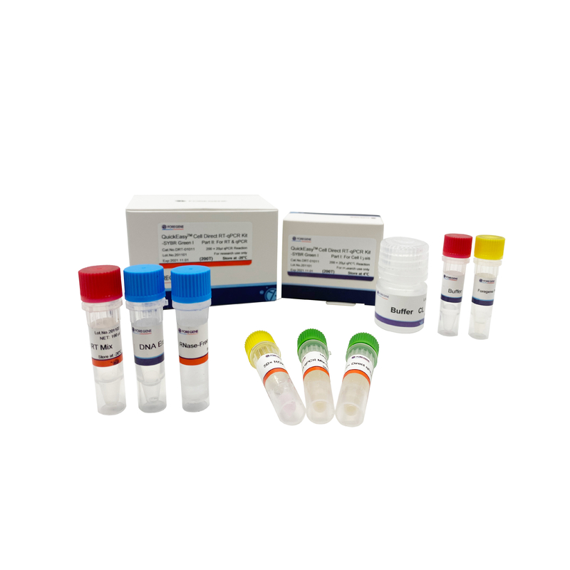 Attenui il CL che un corredo 200T 1000T di RT QPCR di punto la cellula di cultura RT-QPCR diretto