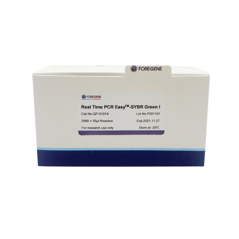 Corredo fluorescente di PCR di PCR EasyTM-SYBR di verde I del corredo di nuovo della premiscela verde in tempo reale del sistema SYBR