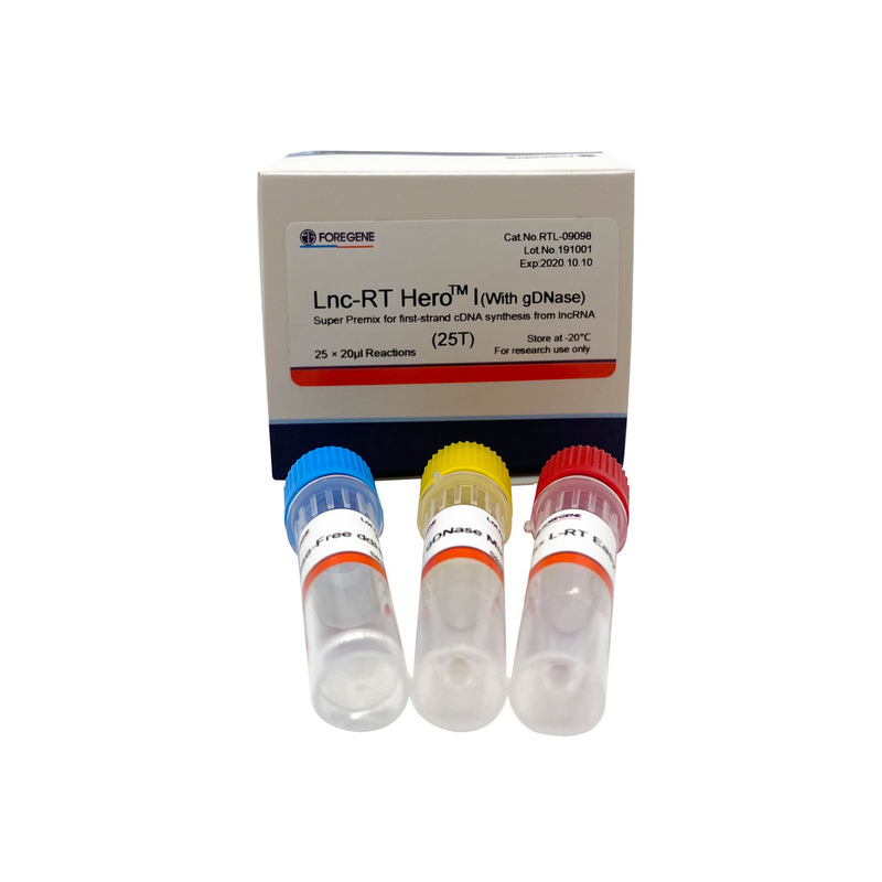 Lnc-RT HeroTM I (con il gDNase) (premiscela eccellente per la sintesi del cDNA del primo filo da lncRNA)