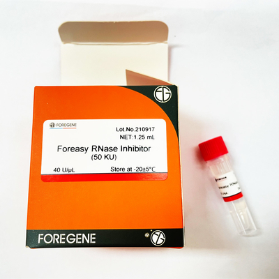 Inibitore della RNAsi di Foreasy di protezione del RNA per i corredi inversi della trascrizione del sistema della trascrizione