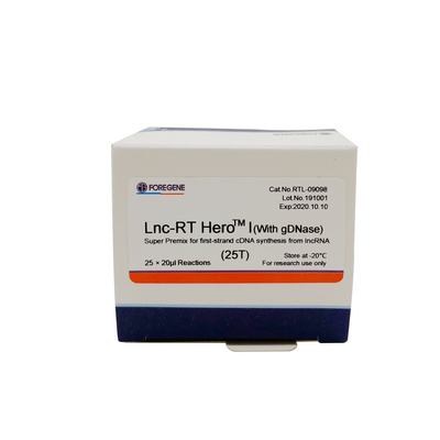 Premiscela eccellente di Lnc-RT HeroTM I (con il gDNase) per la sintesi del cDNA del primo filo da lncRNA Cat.No.RTL-09098/09099