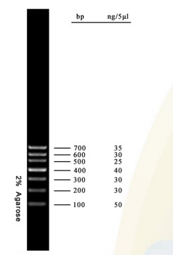 Scala 700bp del DNA del corredo di PCR del gel di agarosio dell'indicatore del DNA per le prove di biologia molecolare