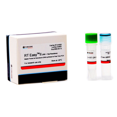 Premiscela matrice di Foregene RT EasyTM II per la prima sintesi del filo CDNA per la PCR in tempo reale