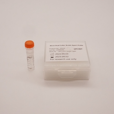 BCL6 Dual Colour Break Apart Sonda per il rilevamento di anomalie del gene BCL6 umano